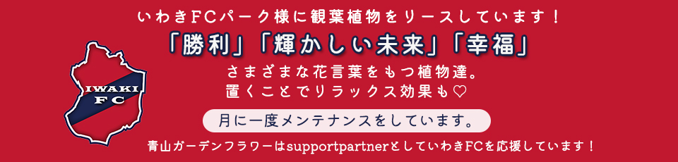 いわきFCパーク様に観葉植物をリースしています！