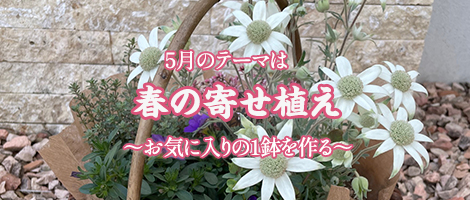 今月のフラワー教室